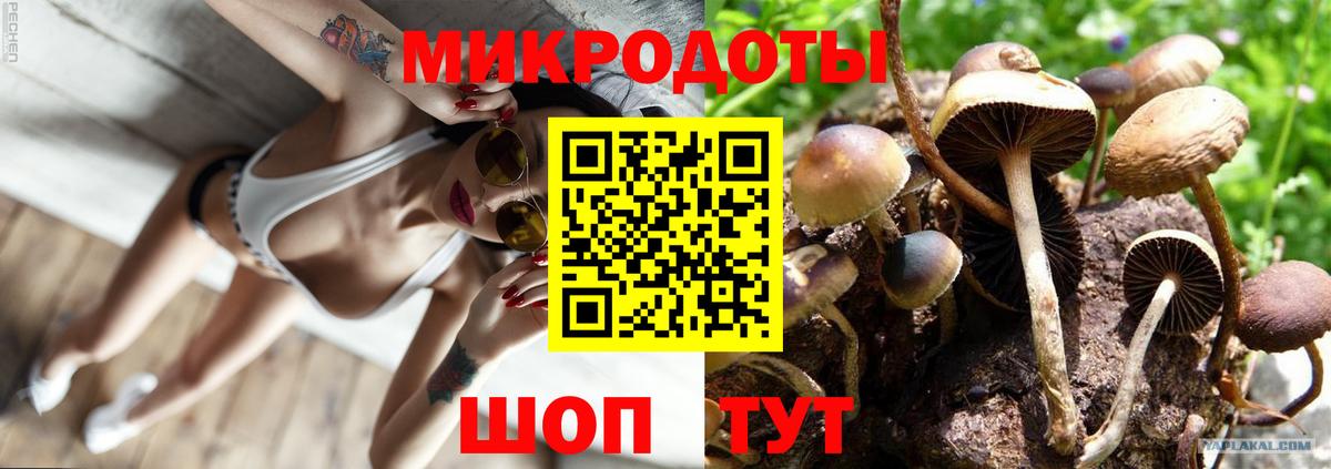 Галлюциногенные грибы MAGIC MUSHROOMS Родники