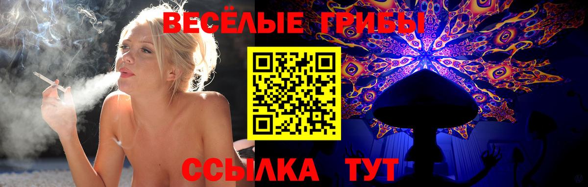 Родники  Псилоцибиновые грибы ЛСД  Вход с VPN 