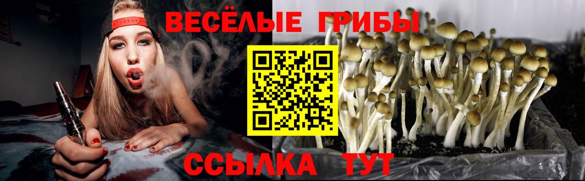 Меф МЯУ МЯУ кристаллы  ГАШИШ  Родники  Вход с VPN  Конопля  Alpha PVP СОЛЬ кристаллы 